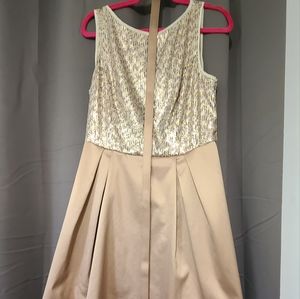 NWT Sz 12 The Limited Party Dress